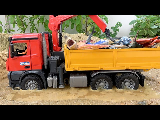 Truck Animals transport fun with Toy cars