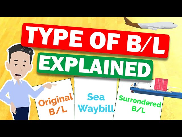 Type of B/L (Revised Version) Explained Original B/L, Surrendered B/L and Sea Waybill