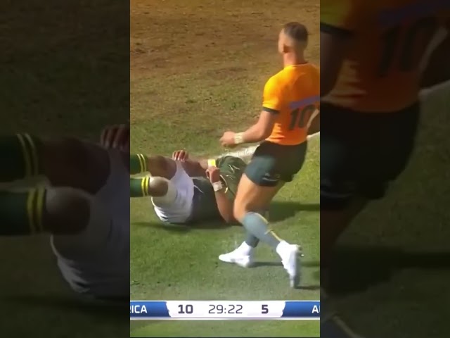 Springboks just too strong…