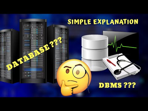 Database & DBMS