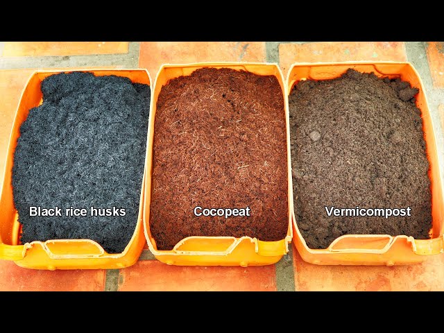How to prepare soil mixture for starting seed
