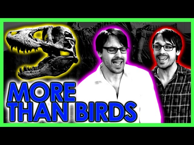 More Than Birds (Extreme Parody) | A Capella Science