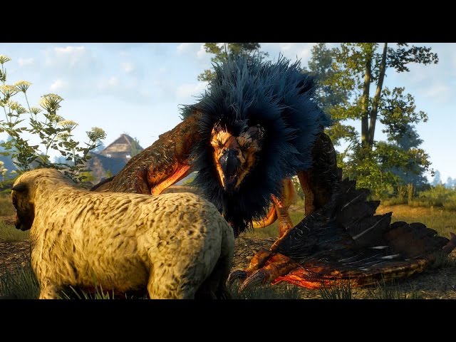 Witcher 3: Royal Griffin Boss Fight (Hard Mode) (4K 60fps)