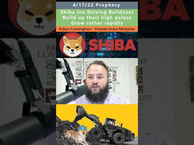 Shiba Inu Driving Bulldozer prophecy - Robyn Cunningham 4/17/22