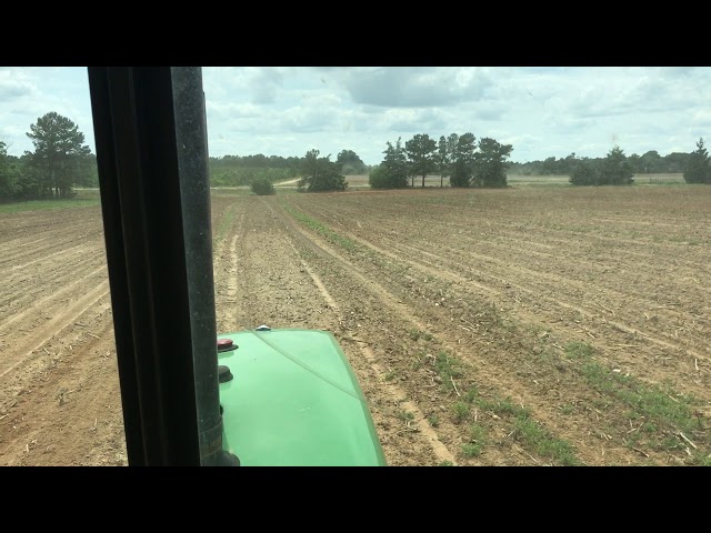 Planting soybeans