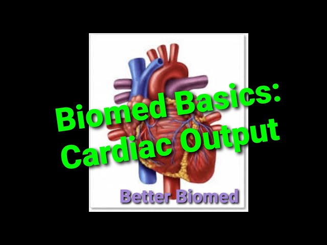 Biomed Basics: Cardiac Output