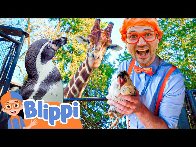 Learning Animals For Kids with Blippi! | Zoo & Jungle Adventures | Educational Videos For Children