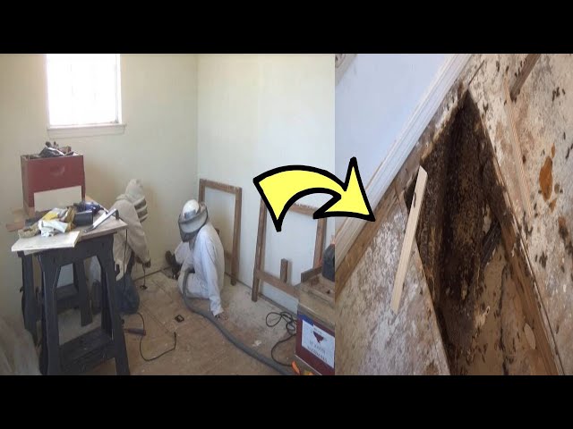 When A Woman Heard A Mysterious Buzzing Under Her Floorboards, She Immediately Called For Help
