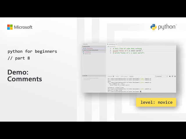 Demo: Comments | Python for Beginners [8 of 44]