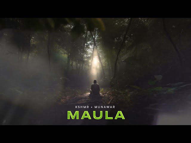 KSHMR, Munawar Faruqui - Maula (Official Audio)