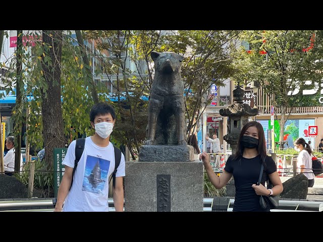 Mizo Akihabara vlog no#49 Hachiko Ui rinawm/ Toilet Langtlang thei!! Shibuya Crossing world no.1