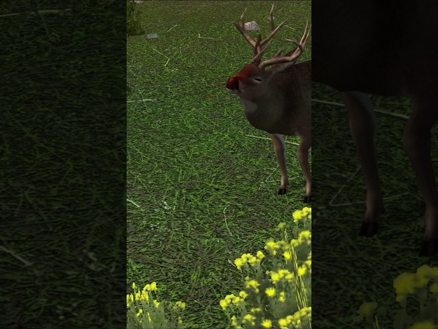 Rudolph The Red Nosed Blacktail Deer - Deer Hunter 2005 #shorts [PC]