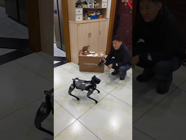 Xiaomi Cyberdog2 Smart Robot Dog Test Video, It is so funny &  Impressive. #xiaomi #cyberdog2