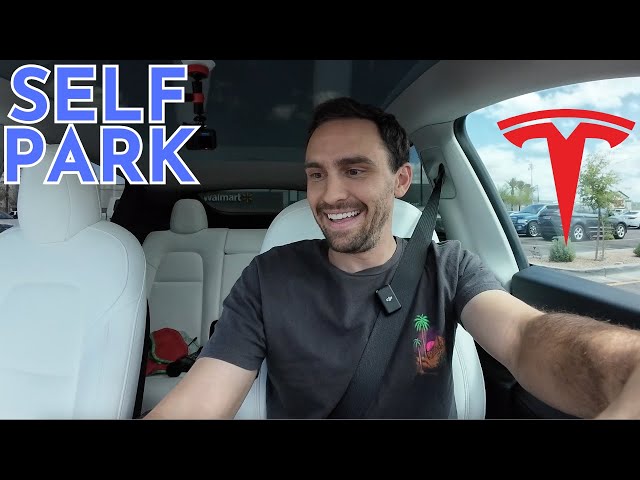 Tesla Gave Me "SELF PARK" For Free so I Tried it at Costco and Walmart!