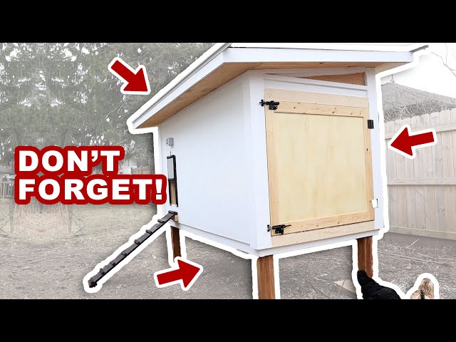 Chicken Coop Features NOT To Forget (8 Things To Consider)