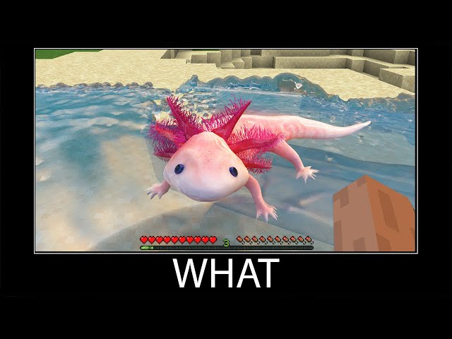 Minecraft wait what meme part 67 realistic minecraft axolotl