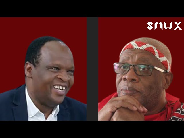 Aubrey Matshiqi & Muzi Sikhakhane (Part 1/2): Lindiwe Sisulu and SA's Constitution