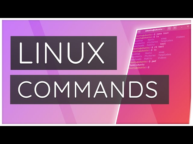 Linux Commands Explained in 1 Minute #Shorts