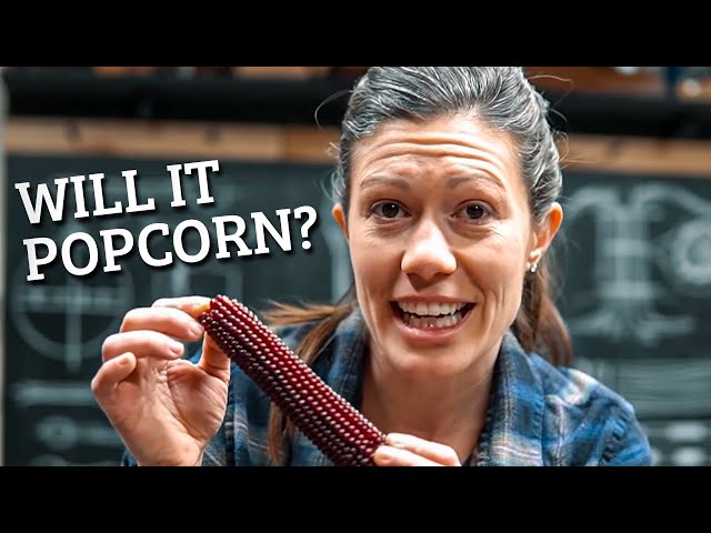 How was popcorn made 200 years ago? // Tool Restoration