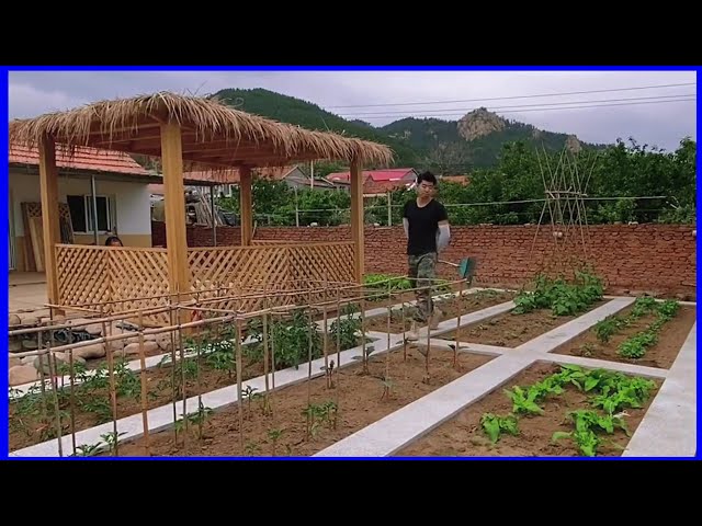 renovate the vegetable garden in the countryside, build a wooden hut and fish tank