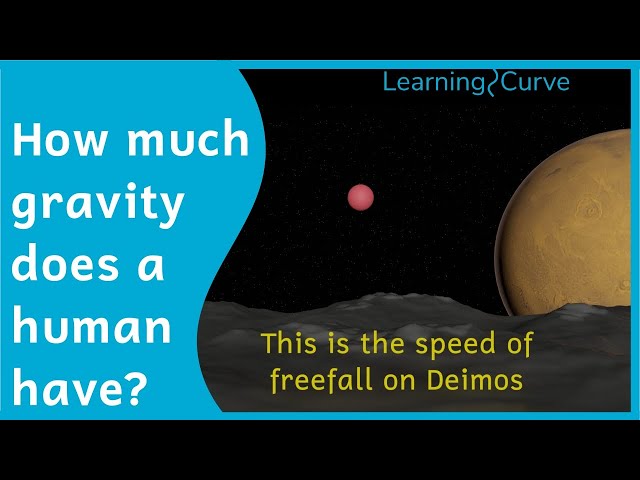 How much gravity does a human have?