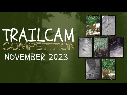 Trailcam Competition