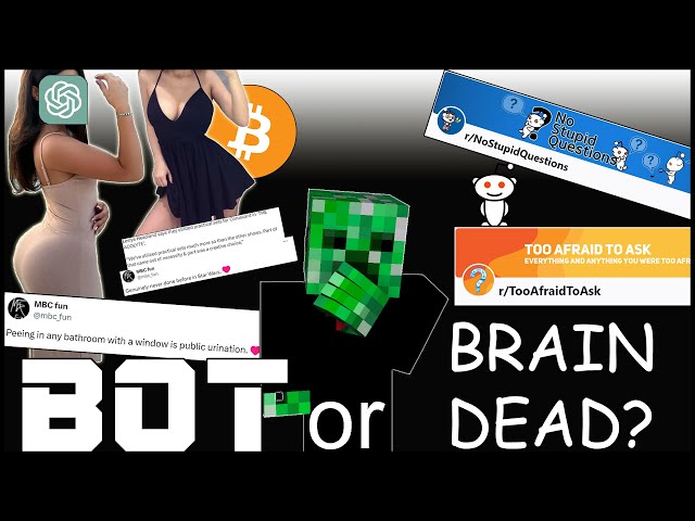 Bot or Braindead?