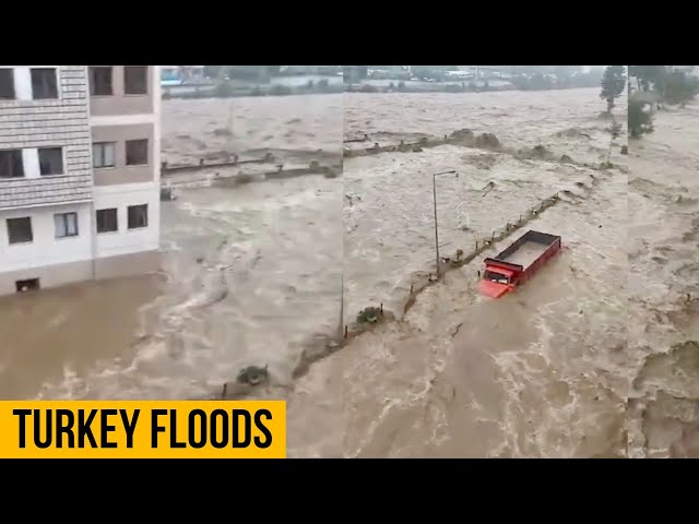 Catastrophic Flood in Artvin, Turkey (July 22, 2021)