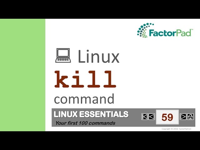 Linux kill command summary with examples