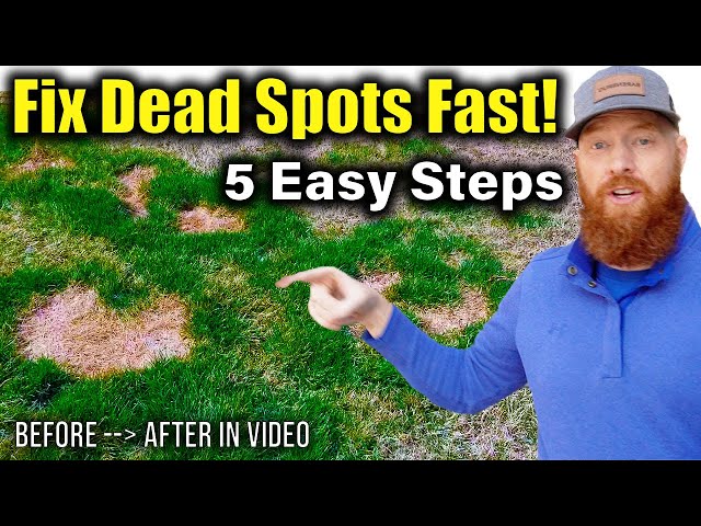 Repair dead patches in grass FAST!