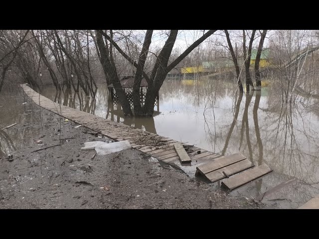 Паводок добрался и до парка “Кирова”. Вода поднимается! Уральск, 5 апреля 2024г.