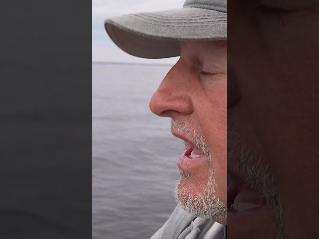 Try this technique for walleye #technique #fishingtips #walleye #walleyefishing