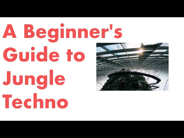 A Beginner's Guide to Jungle Techno