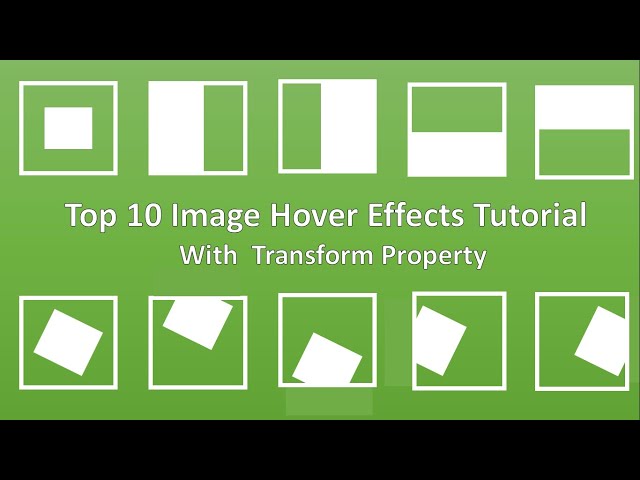 Top 10 Image Hover Effect With Transform Property Part 1 | Image Hover Effect With Pure HTML and CSS