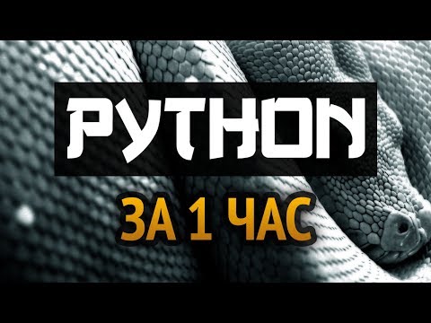 Учим Python за 1 час! #От Профессионала
