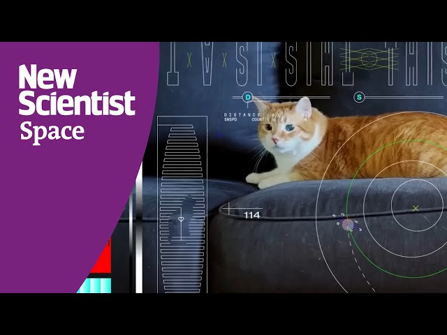 NASA sends cat video 31,000,000 kilometres through space