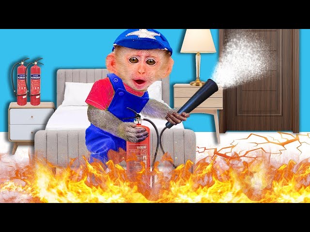 Baby monkey BiBi learns to make cookies and has a house fire incident |BABY MONKEY-NURSERY RHYMES.