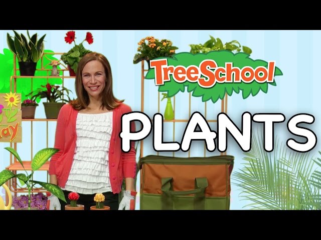 Plants | Treeschool | Episode 2 | Part 1| Educational Kids Video