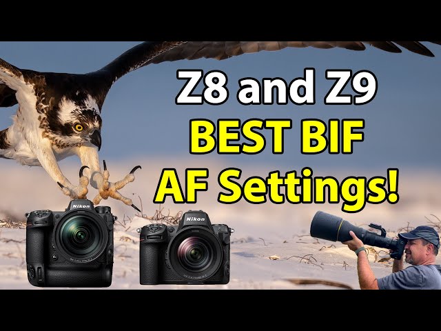 Nikon Z8 & Z9: BEST Bird-In-Flight Autofocus Settings