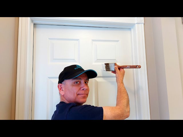 Painting a 6 Panel Interior Door with Speed & Precision