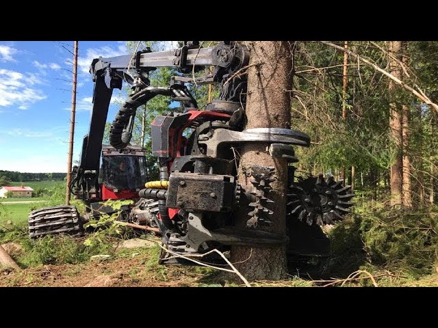 Dangerous Fastest Cutting Tree Skills With Excavator, Heavy Equipment Chainsaw & Sawmill Machines #1
