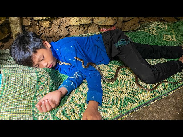 Orphan boy - Danger Lurking - Snakes Crawling Into Sleep,Make Beds, Harvest Bamboo Shoots For Sale