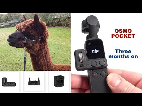 DJI Osmo Pocket - REVIEW 3 months on