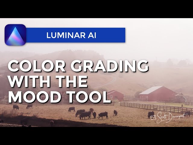 Color Grading With The Mood Tool - Luminar AI