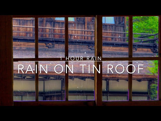 Rain on Tin Roof - Heavy Rain on a Window - Rain Noise for Sleep - 1 hour rain for sleep