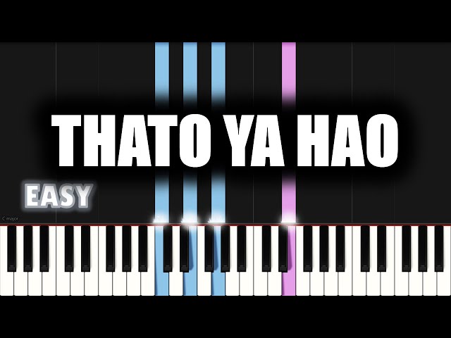 Lebo Sekgobela - Thato Ya Hao | EASY PIANO TUTORIAL by SA Gospel Piano