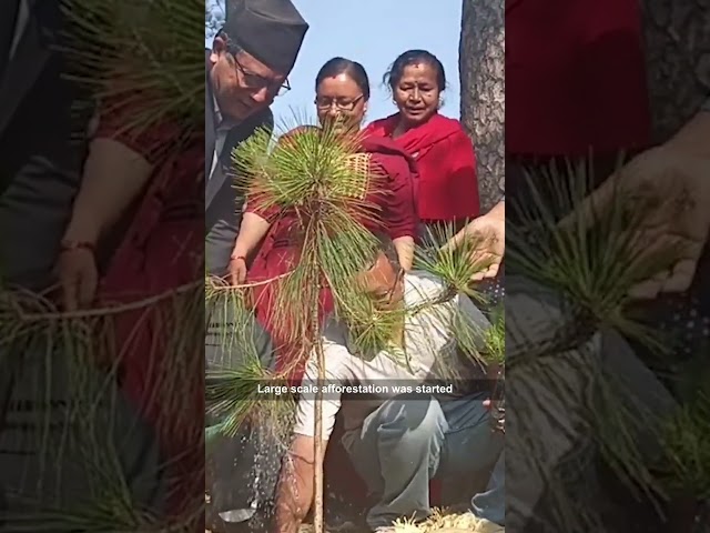 How Nepal grew it's Forest Back