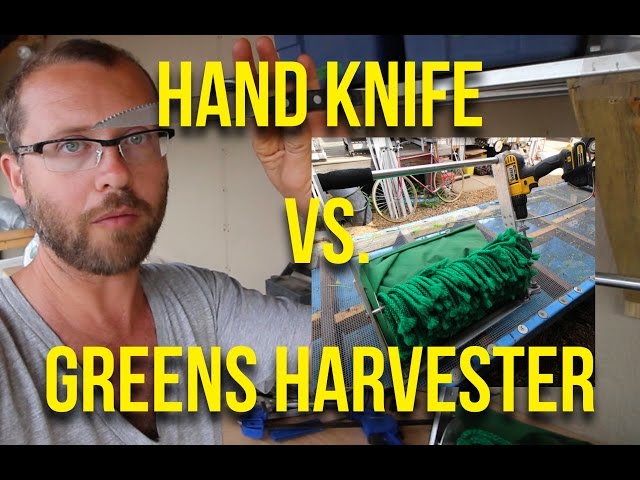 IN FOCUS: Hand Knife vs Quick Cut Greens Harvester