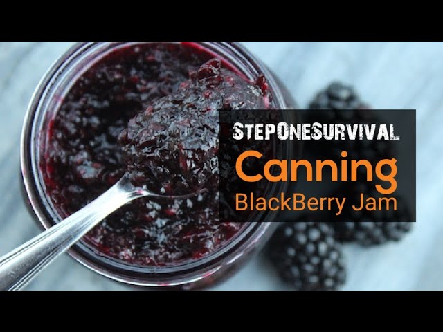 Canning BlackBerry Jam for Longterm Food Storage
