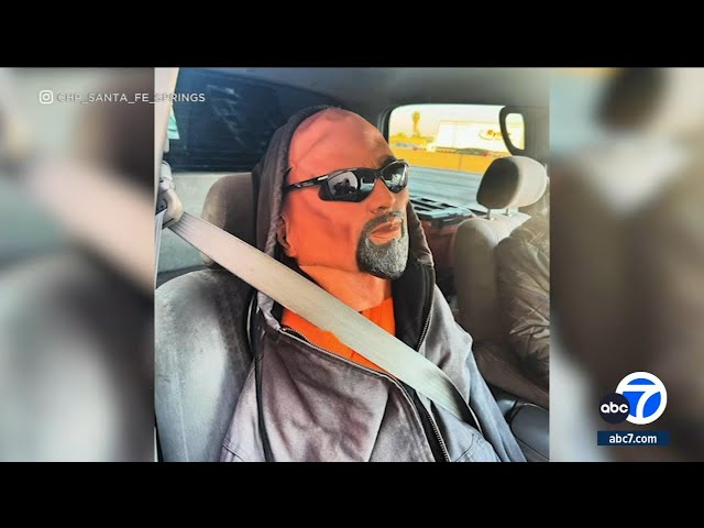 Police bust driver with mannequin passenger in carpool lane